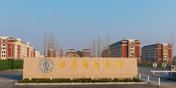 齐鲁医药学院