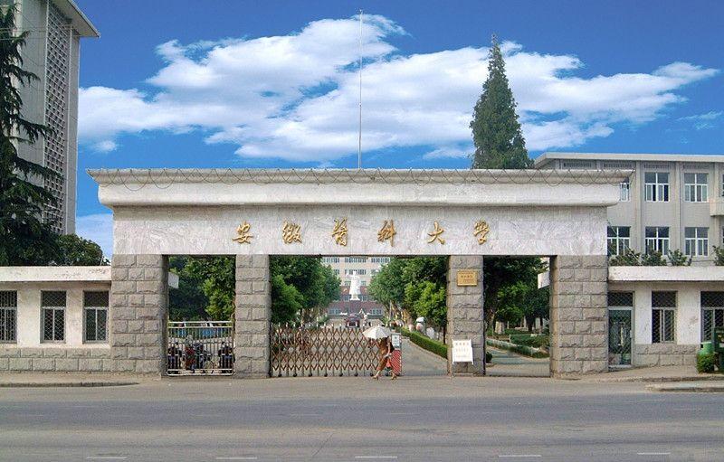 安徽医科大学校园环境